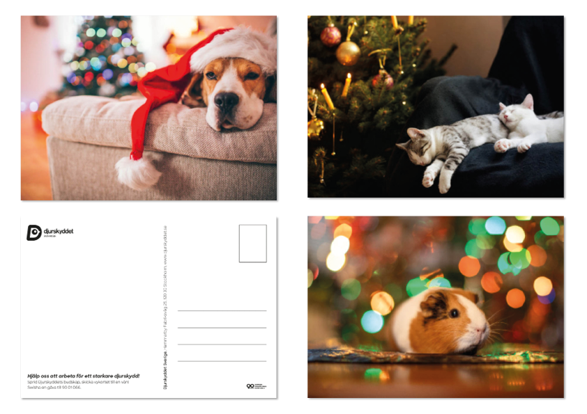 Vykort: Julkort 6 stycken 2025