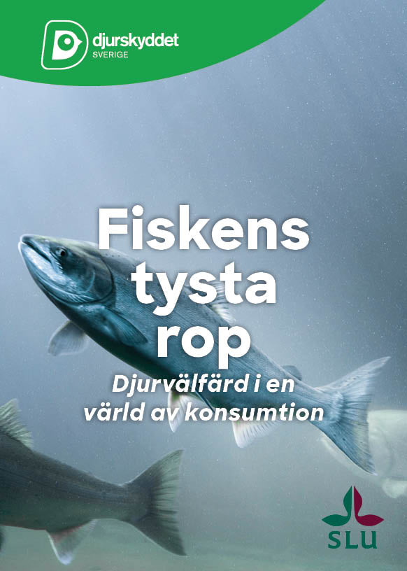 Fiskens tysta rop: Djurvälfärd i en värld av konsumtion