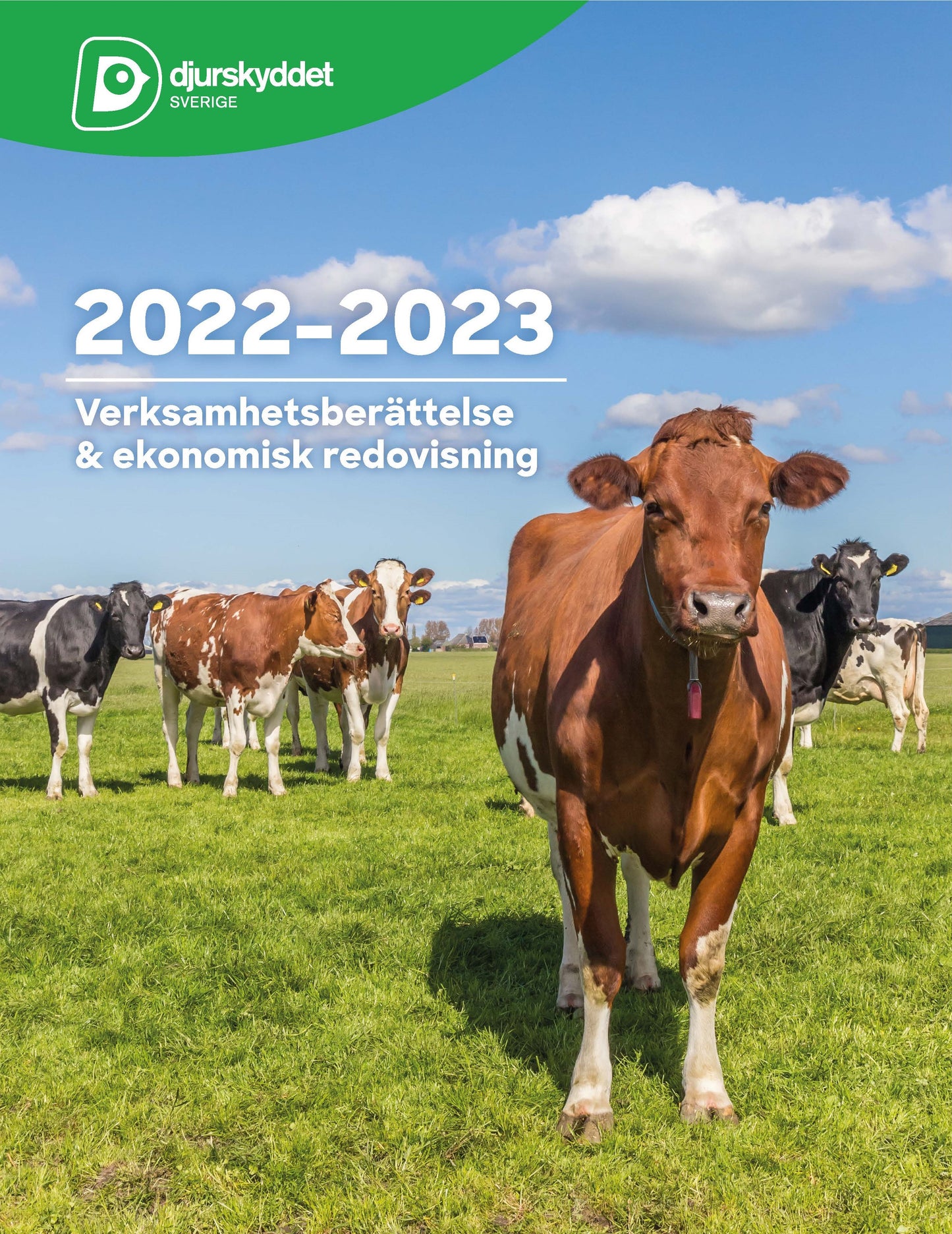 Verksamhetsberättelse 2022-2023