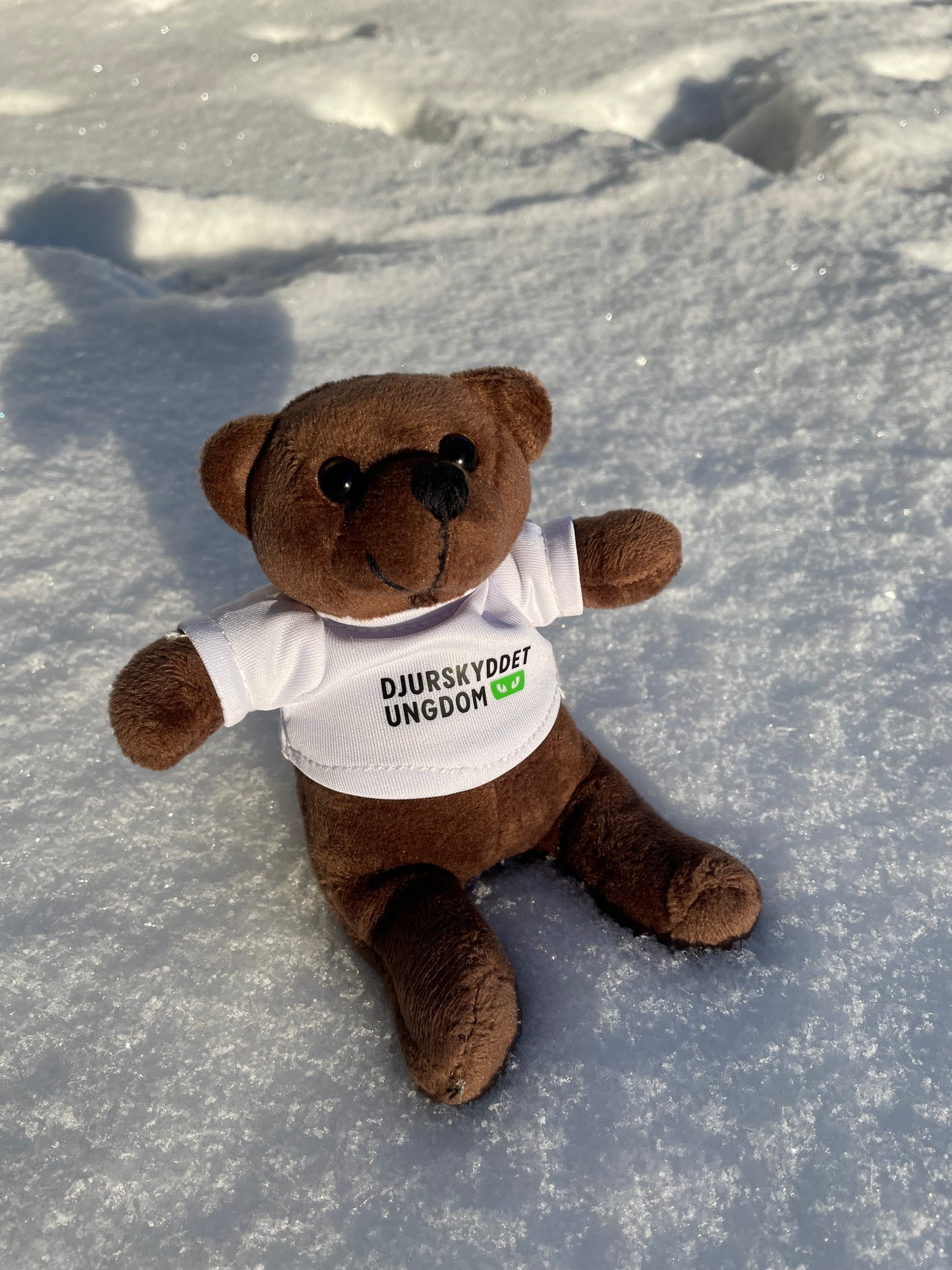 Djurskyddet Ungdom: Nalle