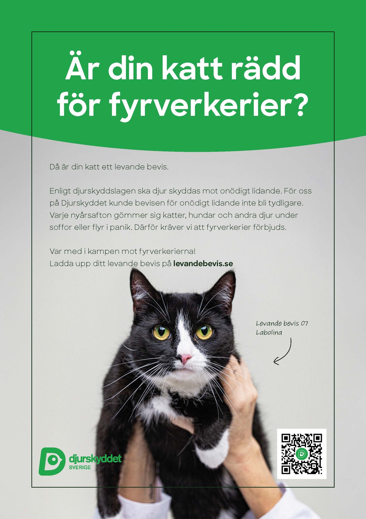 Flyer: Fyrverkerikampanjen Levande bevis