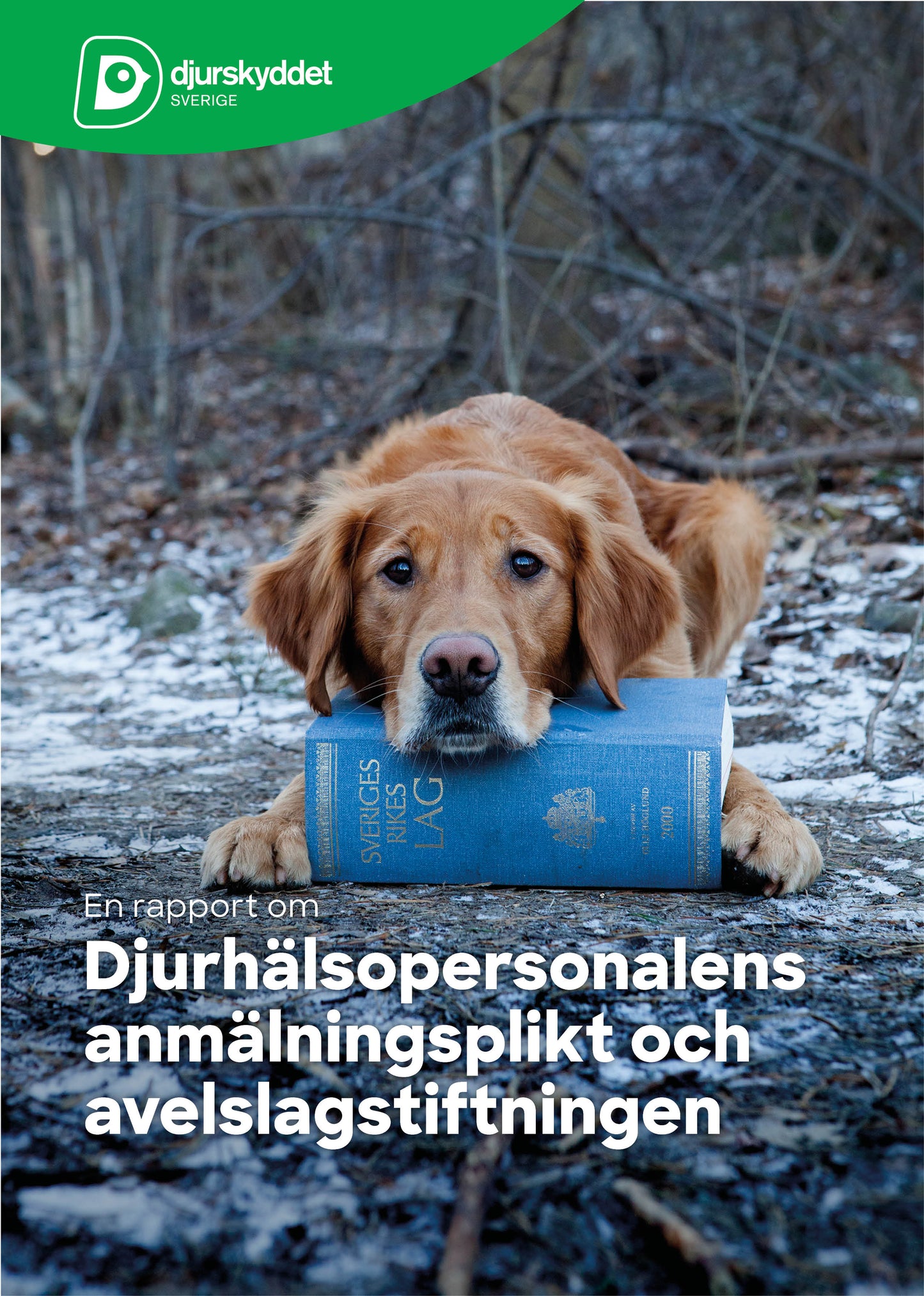 Rapport: Djurhälsopersonalens anmälningsplikt och avelslagstiftningen