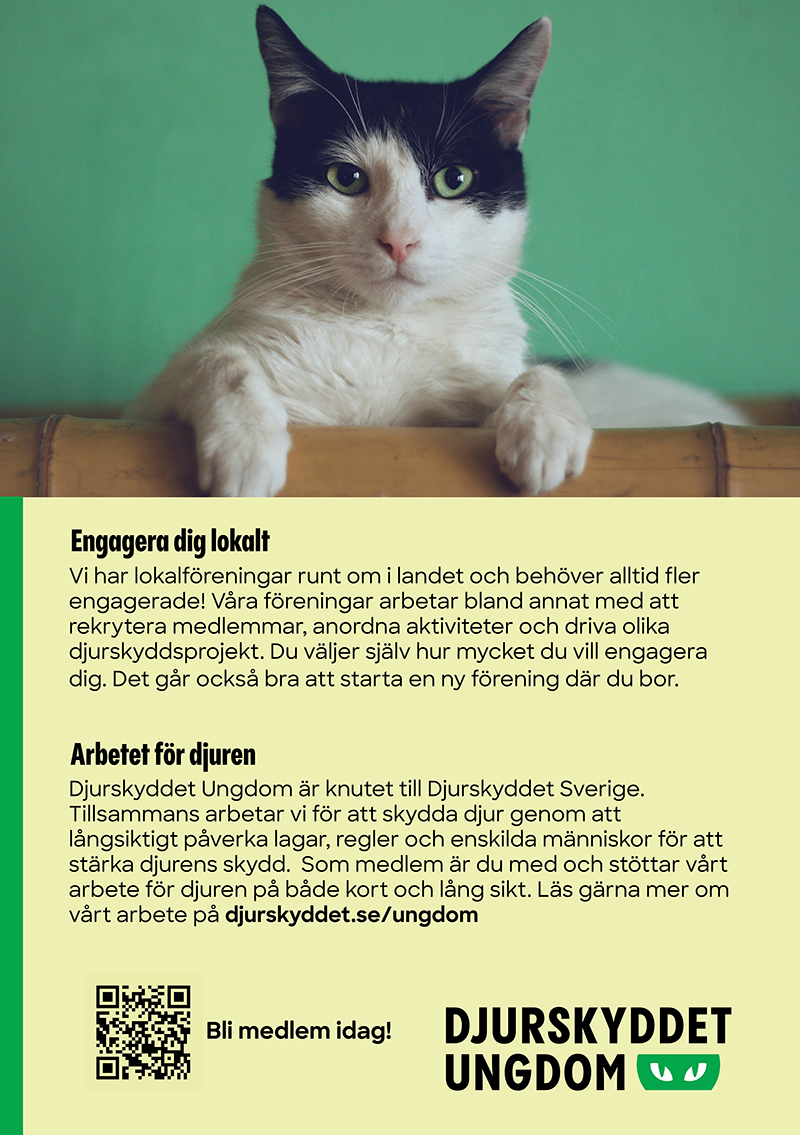 Informationsblad: Djurskyddet Ungdom