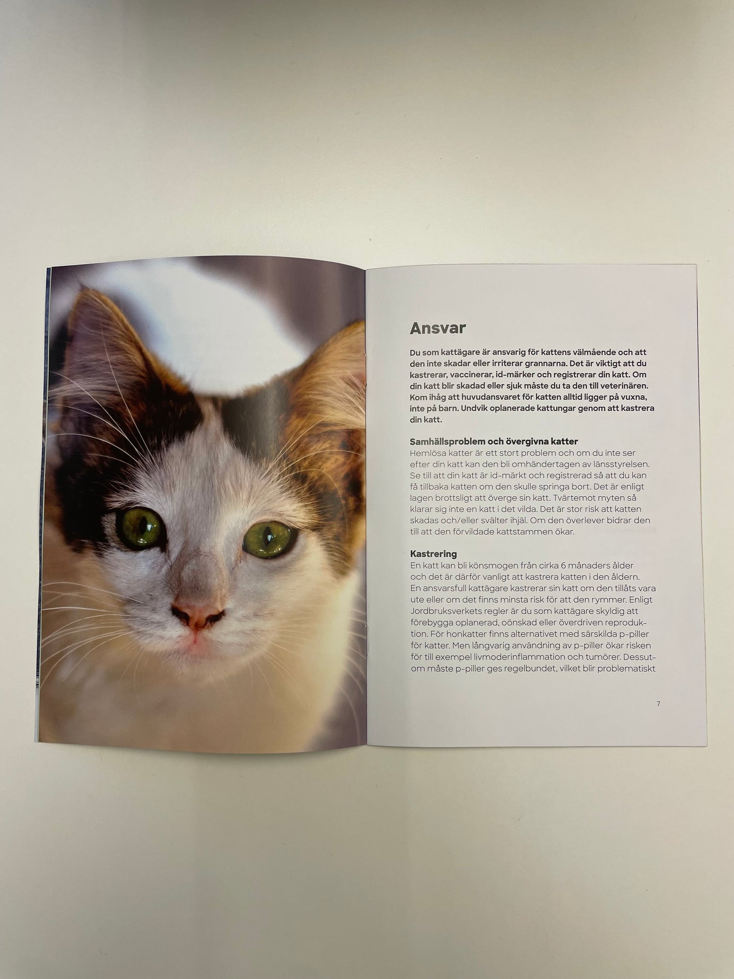 Liten handbok för kattägare