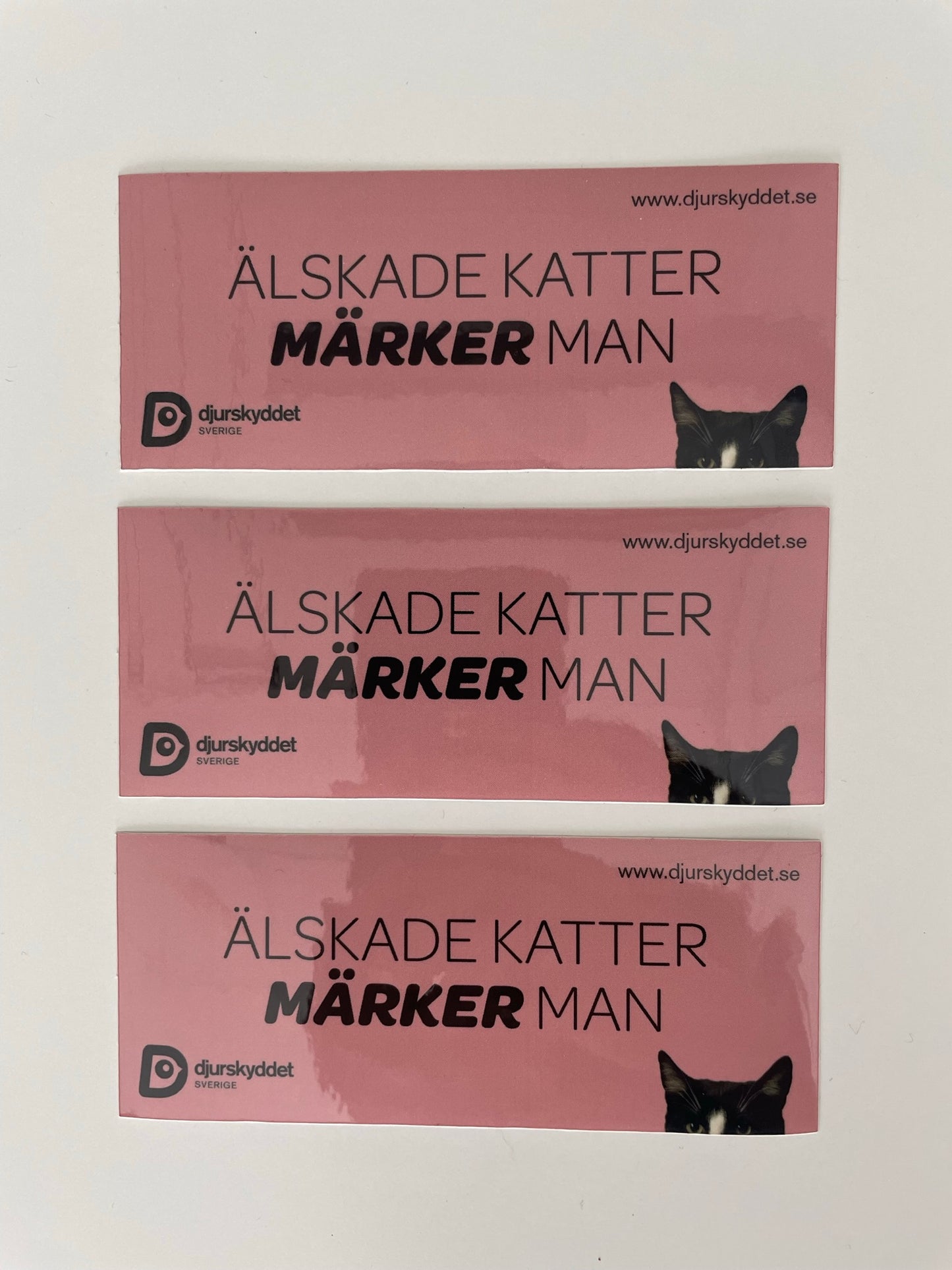 Klistermärken 3 st: Älskade katter märker man
