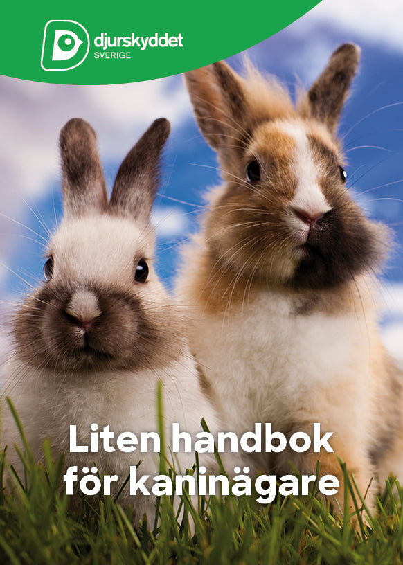 Liten handbok för kaninägare
