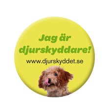 Knapp - hund