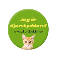 Knapp - katt