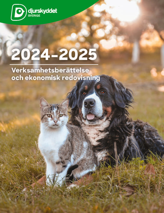 Verksamhetsberättelse 2024-2025