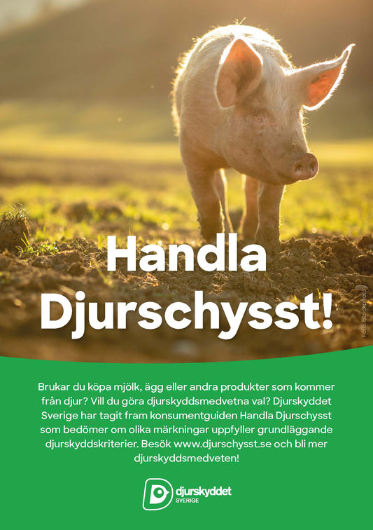 Flyer: Konsumentguiden Handla Djurschysst