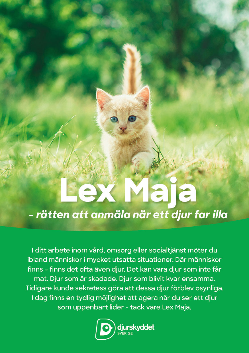 Flyer: Lex Maja