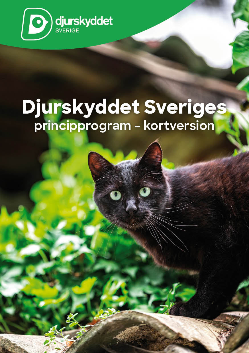 Djurskyddet Sveriges principprogram - kortversion