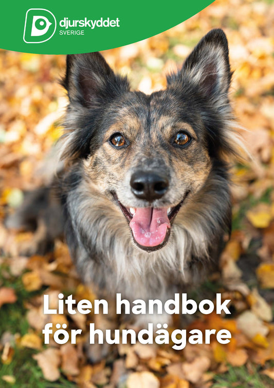 Liten handbok för hundägare