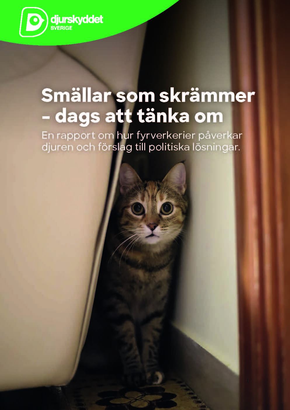 Rapport: Smällar som skrämmer - dags att tänka om.