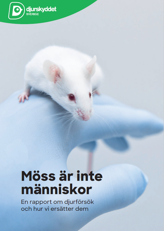 Rapport: Möss är inte människor