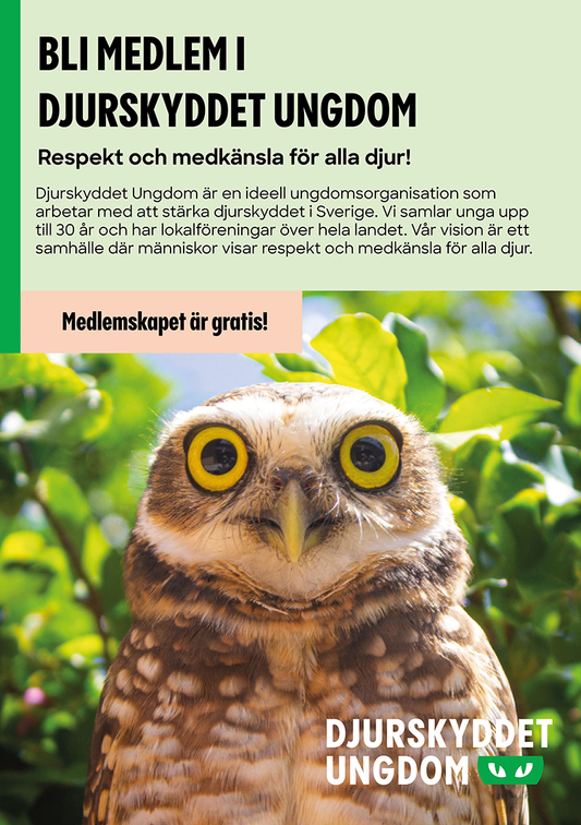 Informationsblad: Djurskyddet Ungdom